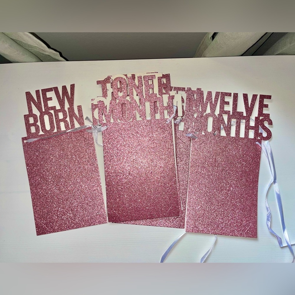 Baby Girl First Birthday Monthly Photo Banner Milestone Pink Glitter